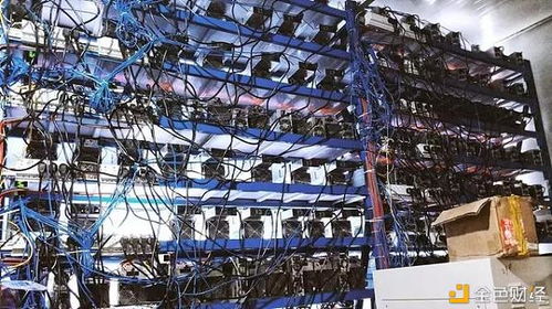 A large-scale mining farm with high-density mining rigs operating efficiently
