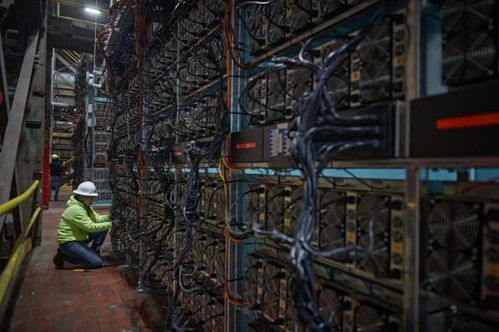 Canaan hosted mining farm setup with efficient cooling