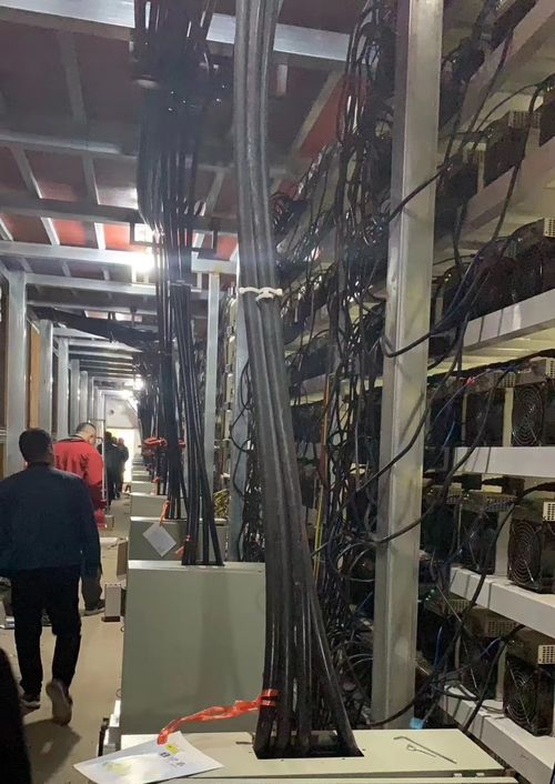 Comparison of mining rig brands