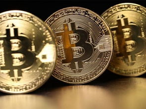 A close-up shot of a Bitcoin mining ASIC chip, highlighting the intricate circuitry and computational power.